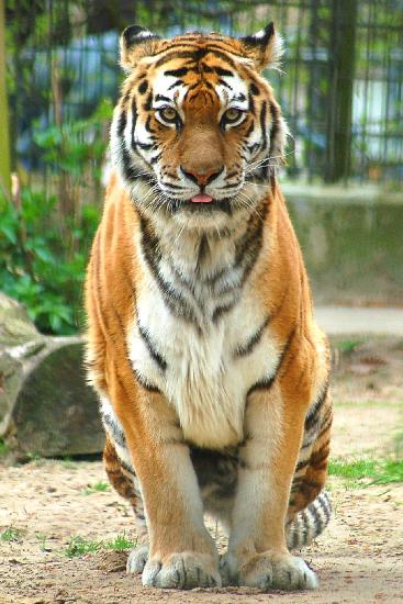 2006_05_01_205_First of May