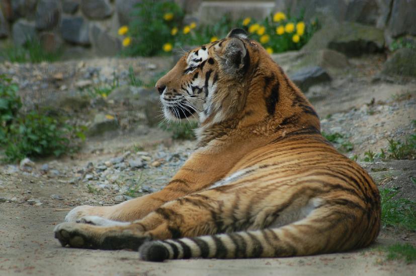 2006_05_01_221_First of May