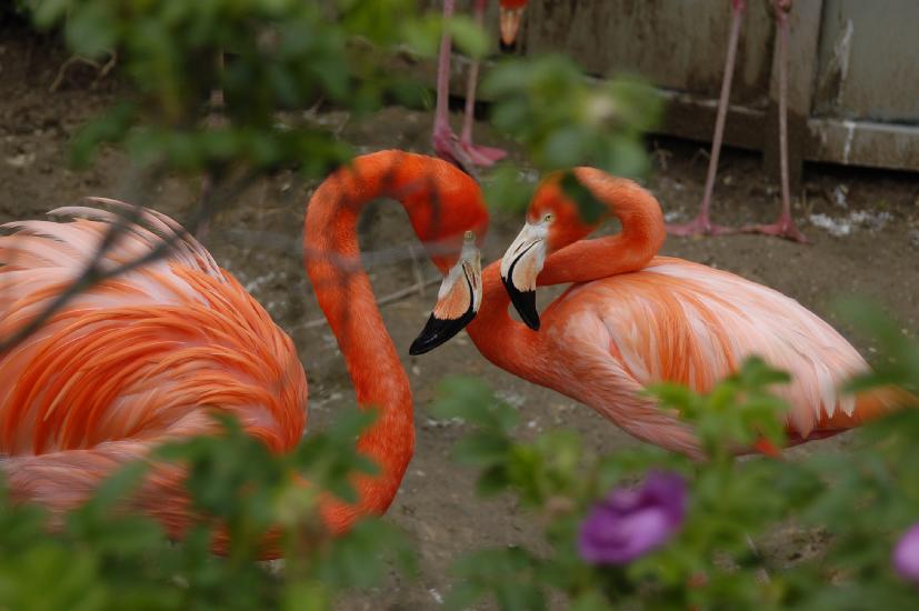 2006_05_28_140_Pfingsten