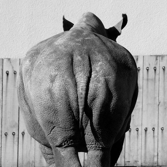 2007_02_16_59_AlleineImZoo