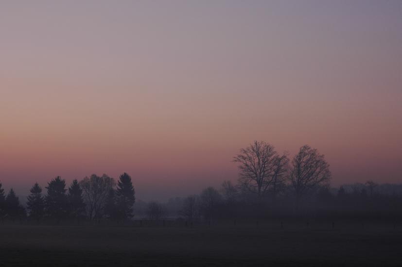 2007_04_06_1_OsternTele