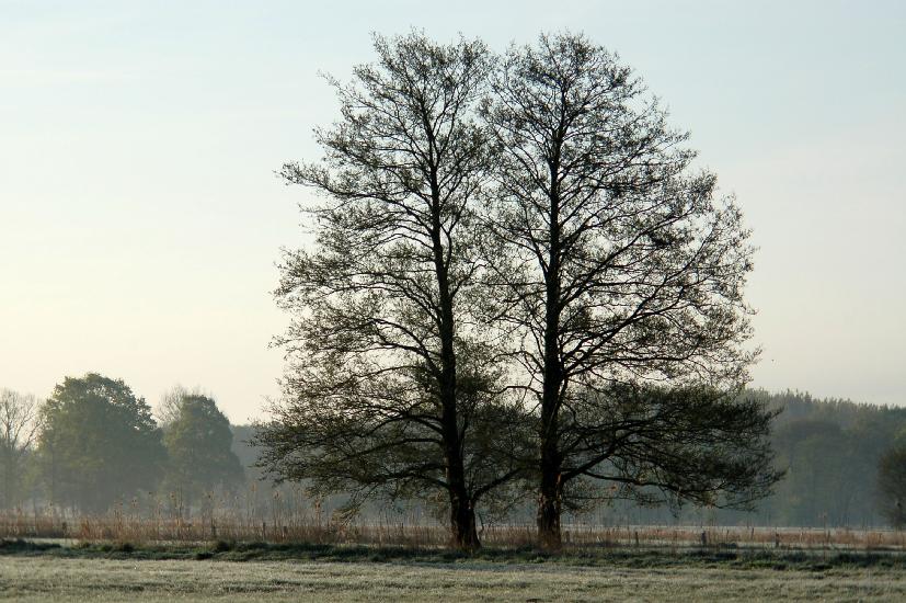 2007_04_21_190_Telekonverter