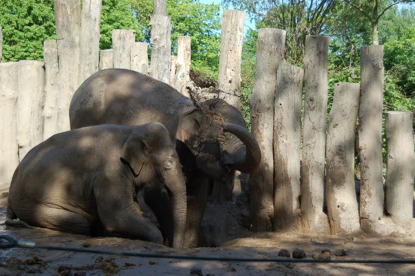 2007_04_29_134_April