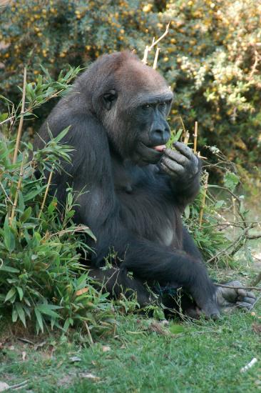 2007_04_29_256_April