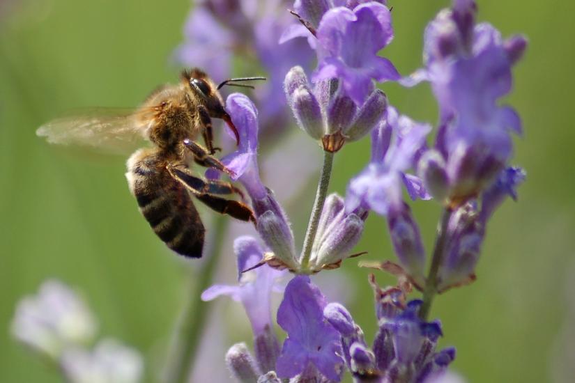 2007_06_23_21_NormalD50