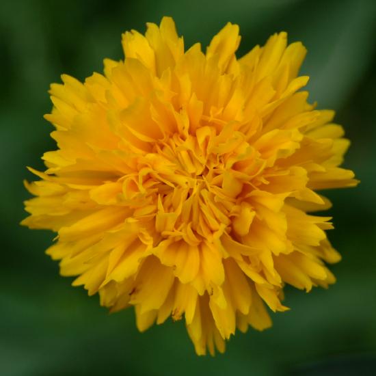 2007_06_24_519_Johannes