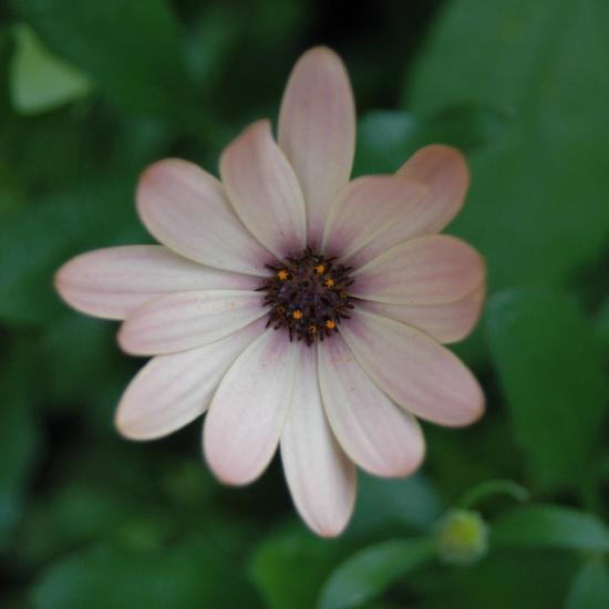 2007_06_24_523_Johannes