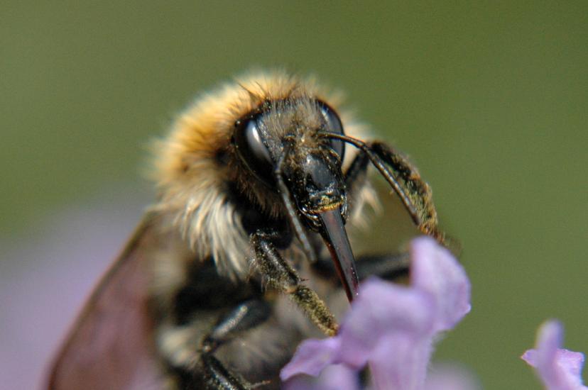 2007_06_24_576_Johannes