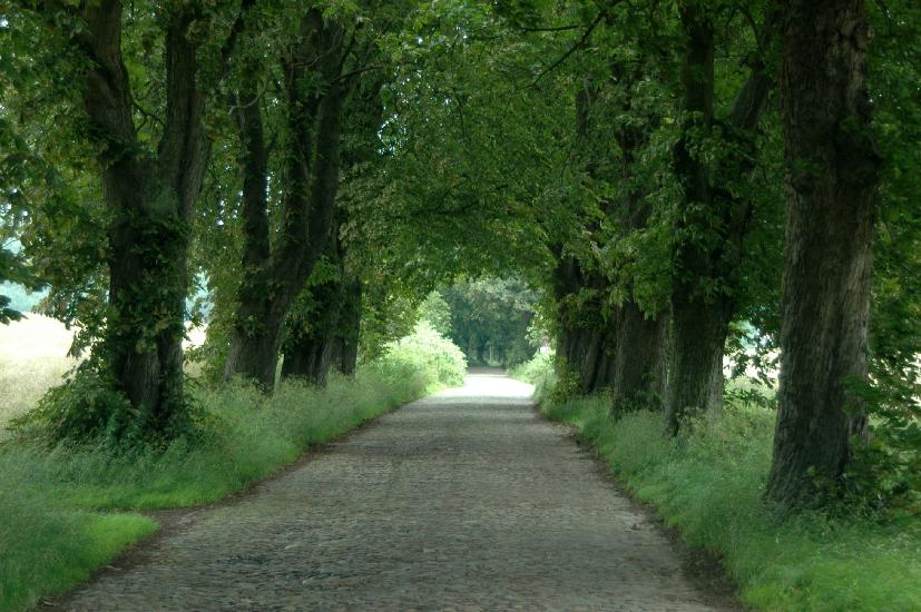 2007_07_06_11_SellinD70