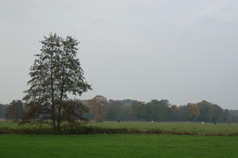 2007_10_28_38_Nikkor28-200