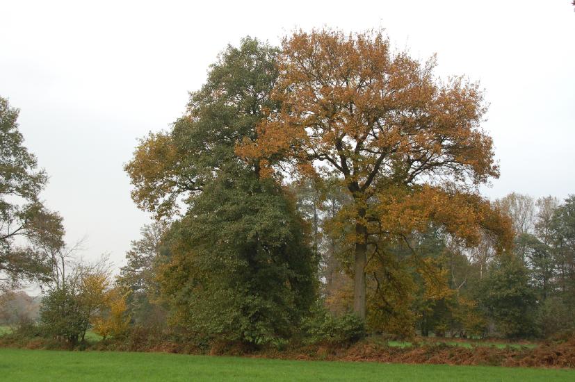 2007_10_28_70_Nikkor28-200