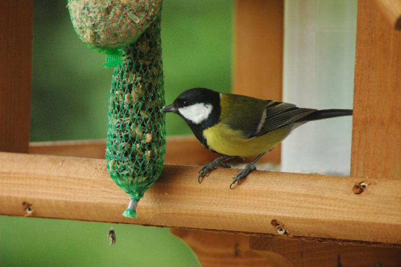 2007_11_01_389_Vogelhaus