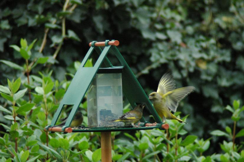 2007_11_01_71_Vogelhaus