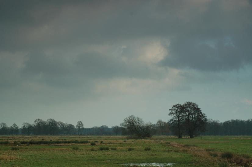 2008_01_06_25_ErsteWoche