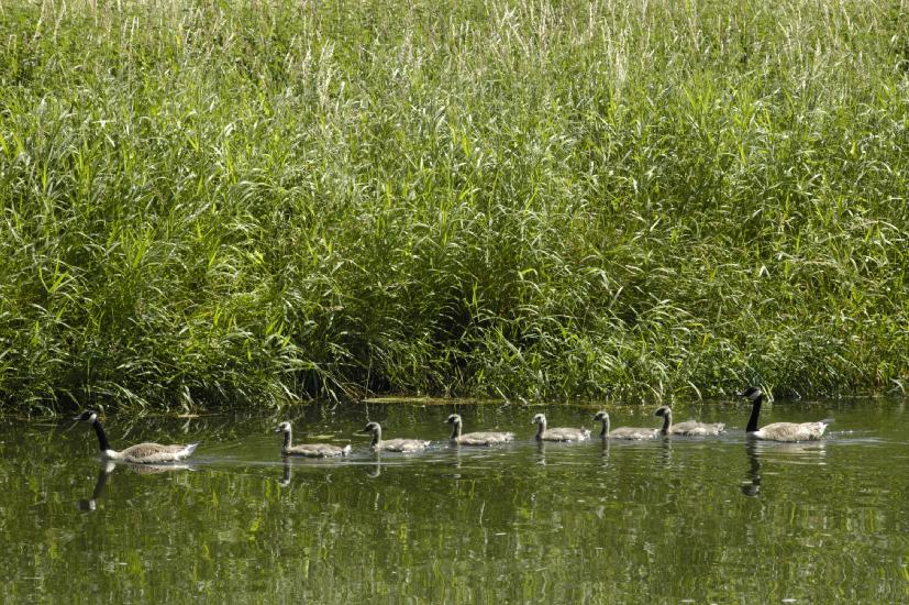 2008_06_21_162DiverseObjektive