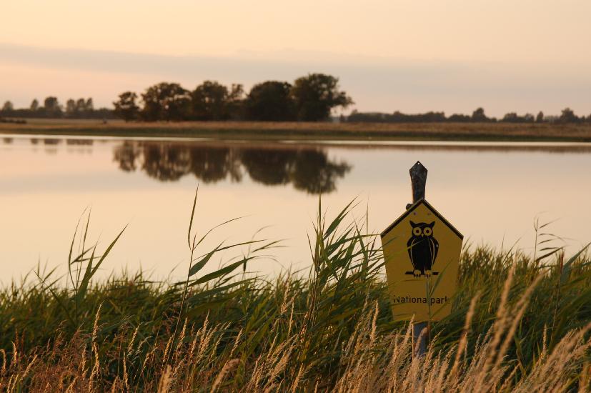 2008_07_13_182_RuegenD50