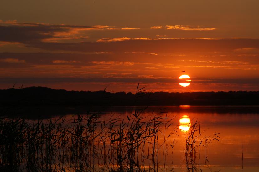 2008_07_13_270_RuegenD50