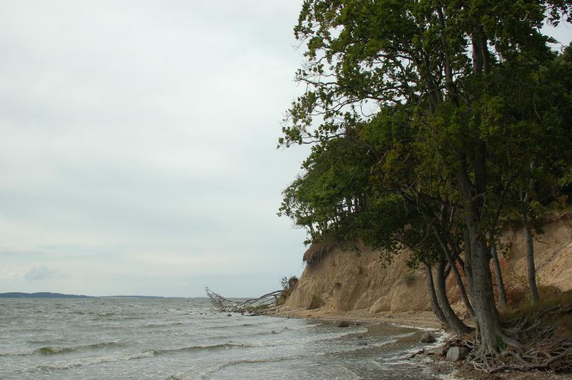 2008_07_16_11_RuegenD50