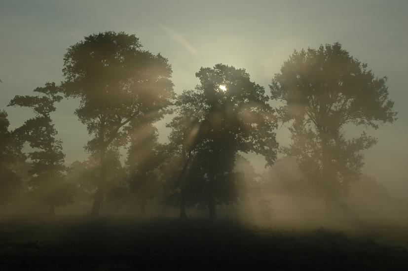 2008_08_30_63_Sommer