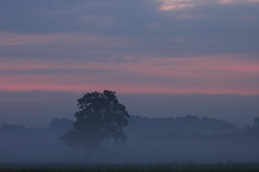 2008_09_20_18_Bruch180