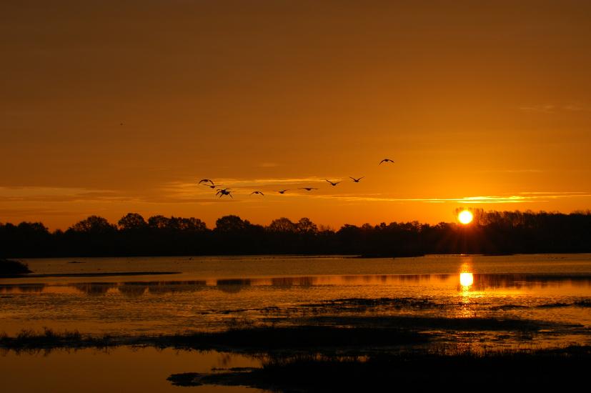 2008_10_24_79_Rieselfelder50-500