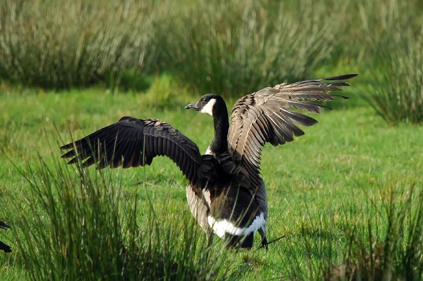 2008_11_23_26_RieselfelderMS