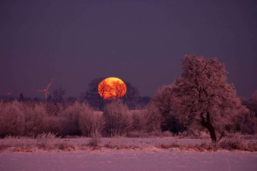 2009_01_10_113_WinterTele