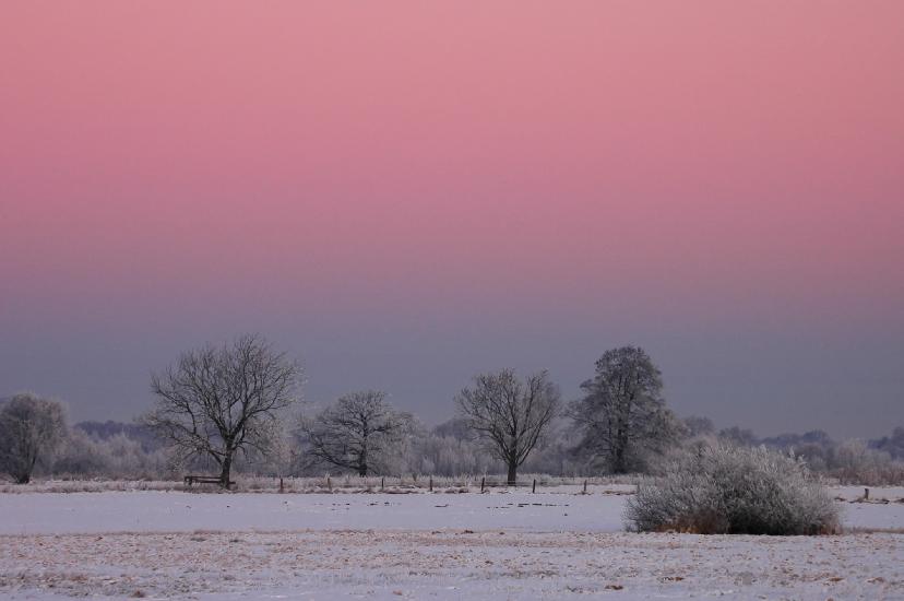 2009_01_10_153_WinterTele