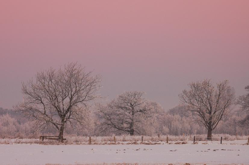 2009_01_10_161_WinterTele