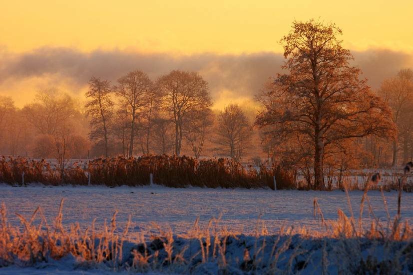 2009_01_10_308_WinterTele