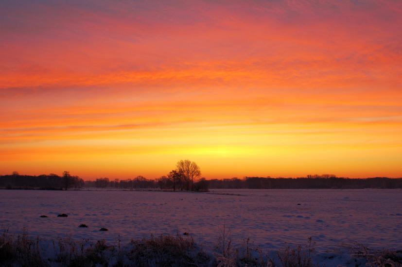 2009_01_11_22_WinterWeit