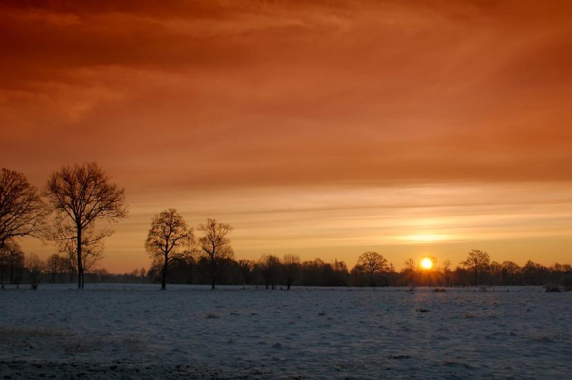 2009_01_11_24_WinterWeit