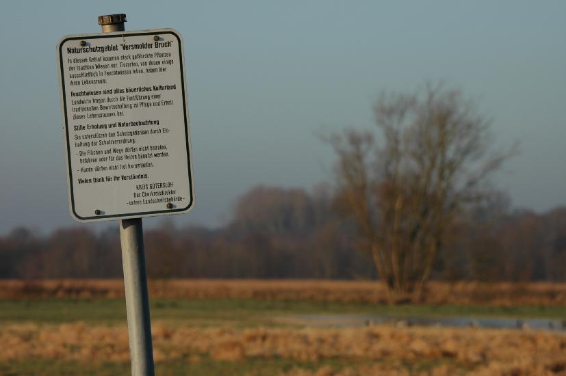 2009_01_25_132_BruchTele