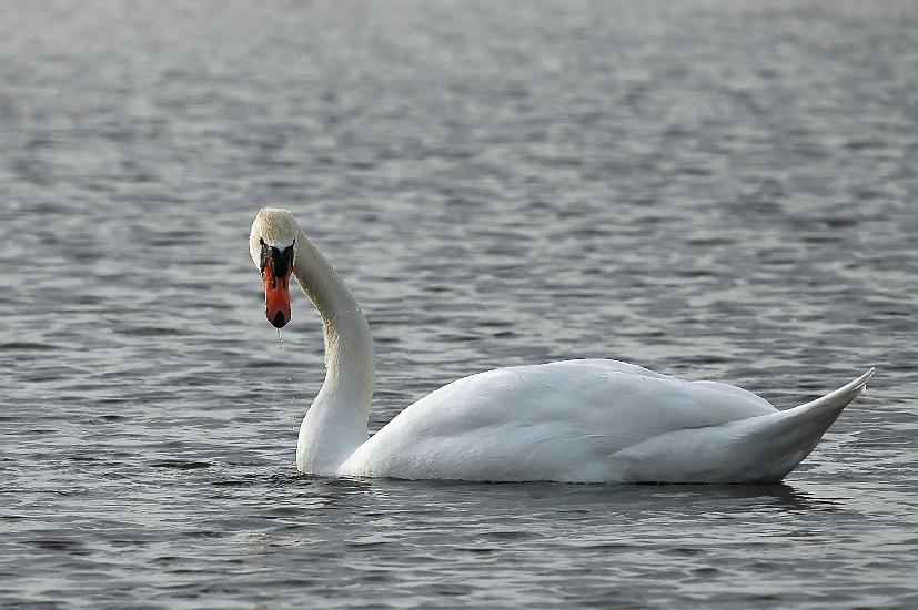 2009_03_13_101_Rieselfelder