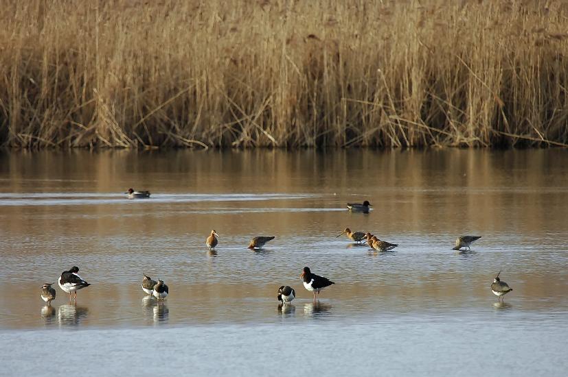 2009_03_13_162_Rieselfelder