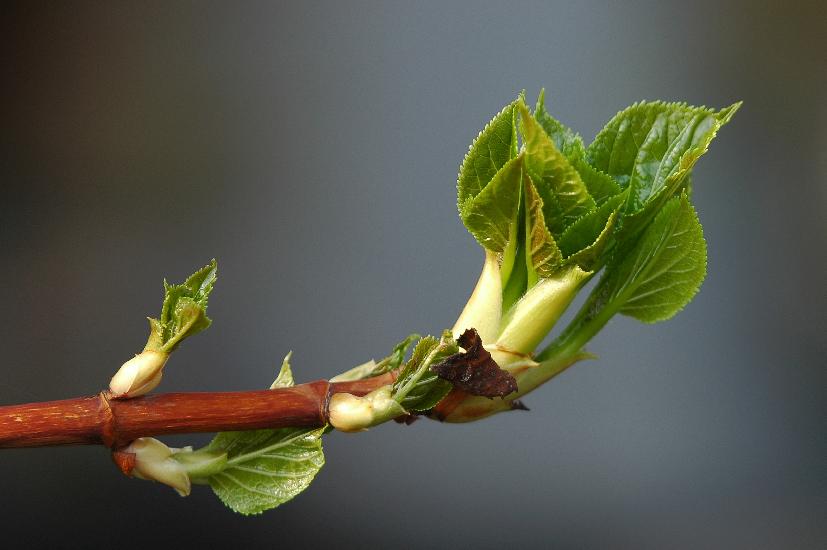 2009_04_06_54_Test50500