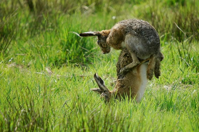 2009_04_09_140_Rieselfelder