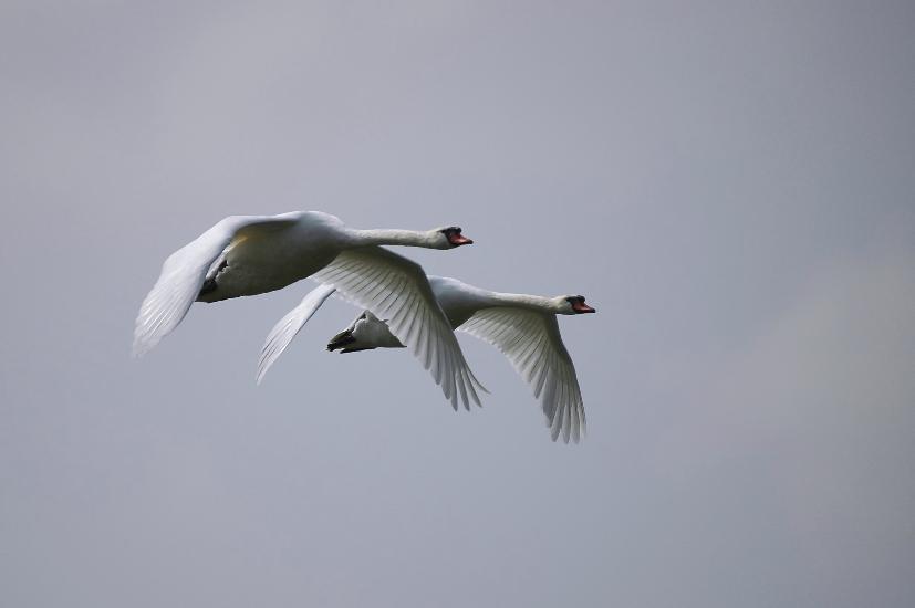 2009_04_09_232_Rieselfelder_ff