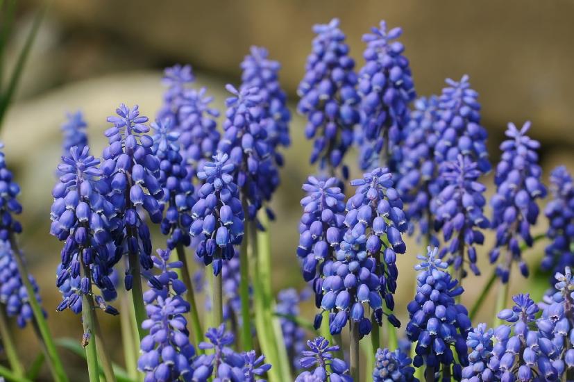 2009_04_12_6_Ostern180