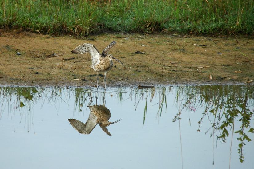 2009_05_10_309_Bruch