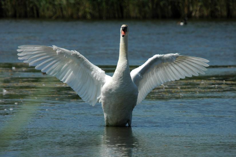 2009_05_31_223_Rieselfelder