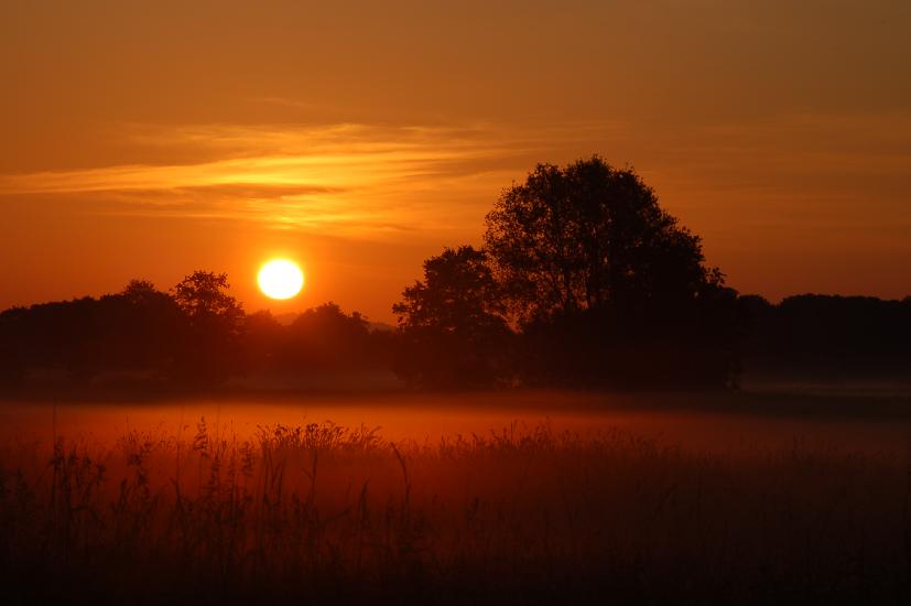 2009_06_01_109_Pfingsten