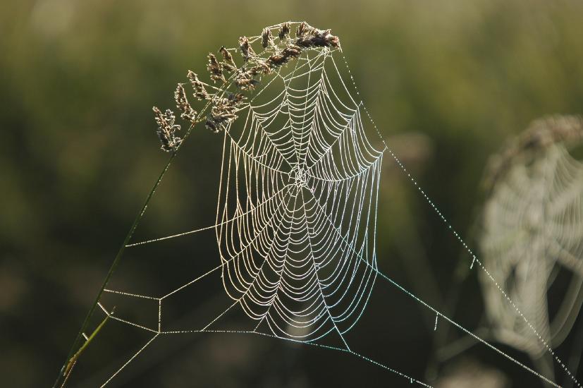 2009_06_13_170_Bruch