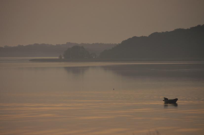 2009_07_17_16_RuegenTele