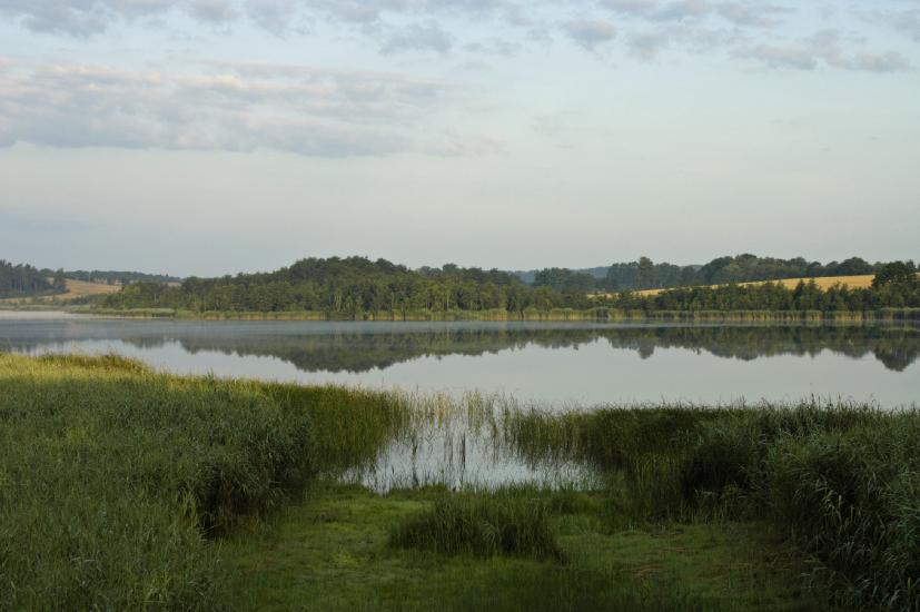 2009_07_17_53_RuegenTele