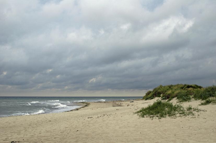 2009_07_19_46_KuehlungWeit