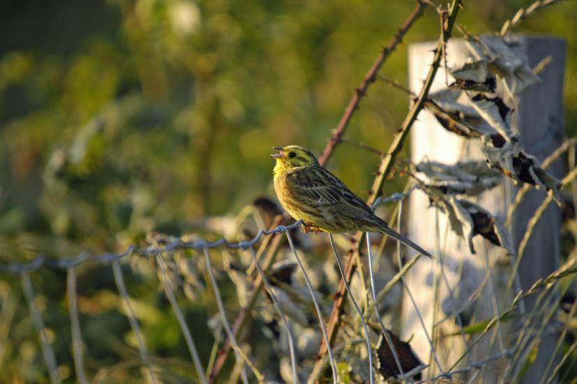 2009_07_20_81_KuehlungTele