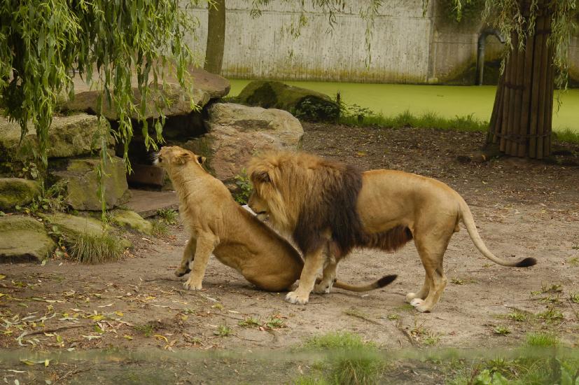2009_08_09_110_Zoo