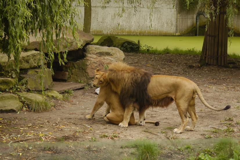 2009_08_09_112_Zoo