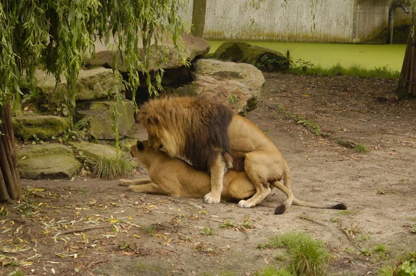 2009_08_09_113_Zoo